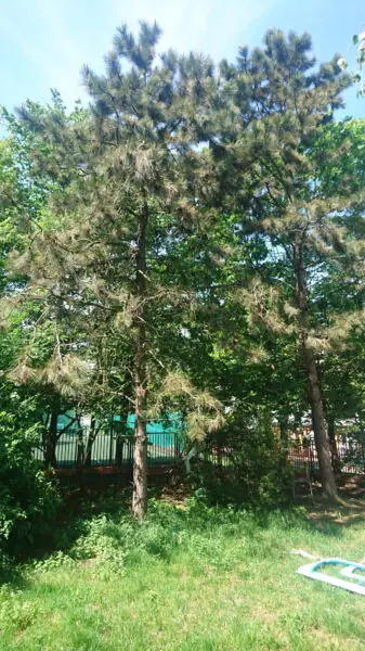 Odpočinkový parčík mezi ZŠ Pod Marjánkou, Duhovka a školkou Jílkova